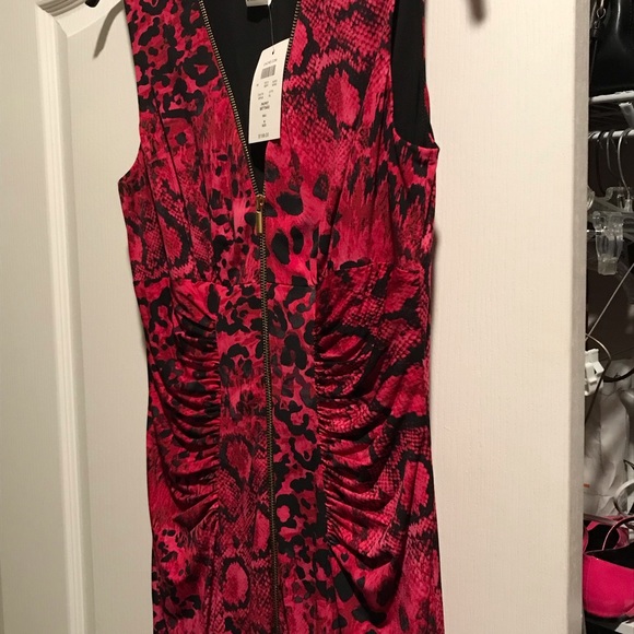 Sexy, but classy, Cache front zippered, animal print dress - Picture 3 of 4